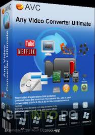 Any Video Converter Professional
